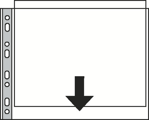 Showtas Esselte Standaard PP A3 dwars 85 micron 11-gaats gekorreld transparant (50)(52300T