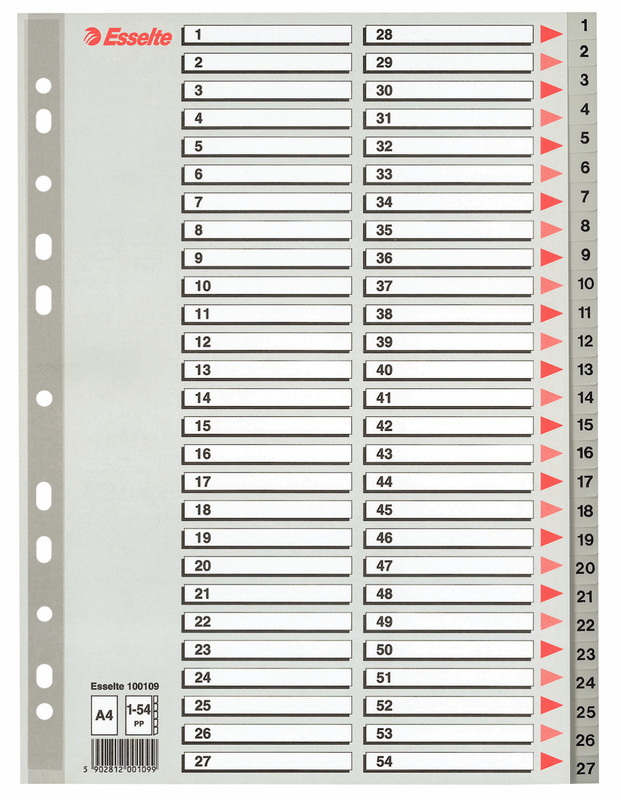 Tabbladen Esselte PP A4 1-54 11-gaats grijs