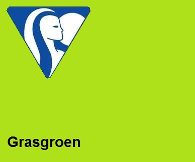 Clairefontaine DIN A4 120gr grasgroen (250) - FSC Mix credit