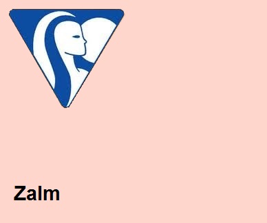 Clairefontaine DIN A3 120gr zalm (250) - FSC Mix credit