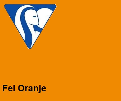 Clairefontaine DIN A4 120gr heloranje (250) - FSC Mix credit