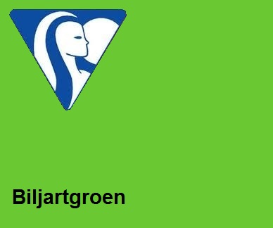 Clairefontaine DIN A4 160gr biljartgroen (250)- FSC Mix credit