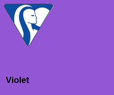 Clairefontaine DIN A3 160gr violet (250) - FSC Mix credit