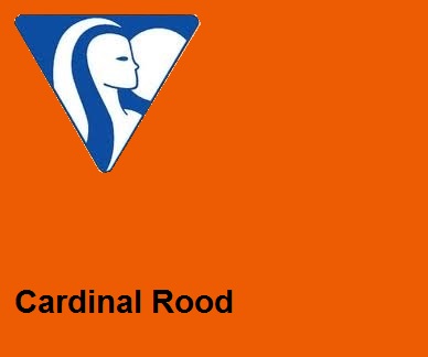 Clairefontaine DIN A4 80gr cardinalrood (500) - FSC Mix credit