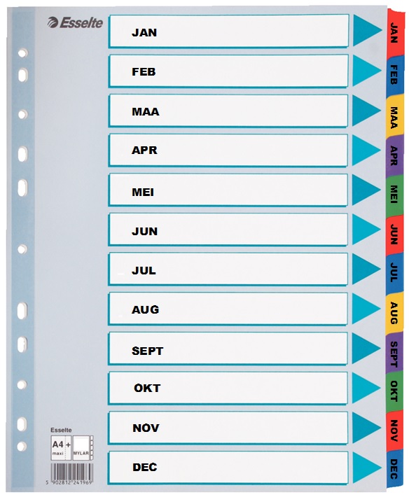 Tabbladen Esselte luxe mylar A4 160g jan-dec 11-gaats assorti