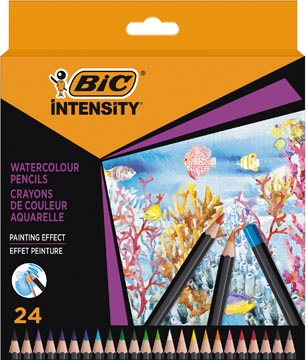 Aquarelpotlood Bic Intensity (24)