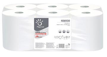 Handdoek Papernet Standard Centerfeed 1-laags 292m (6)