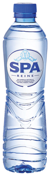 Water Spa Reine 0.5l PET (24)