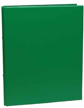 Ringmap Aurora PVC A4 2 O-ringen 25mm rug 4cm groen