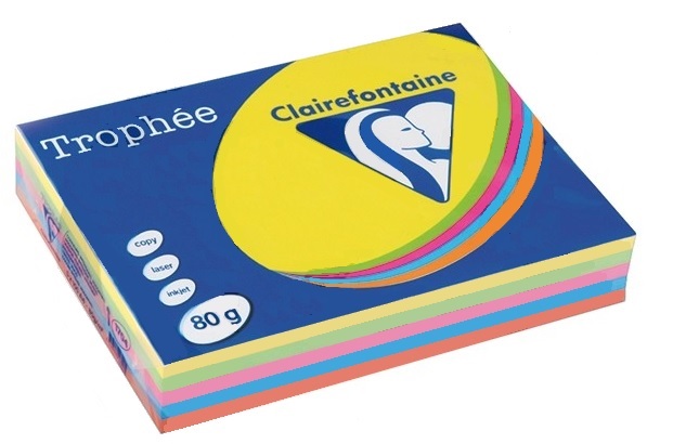 Clairefontaine DIN A3 80gr assorti intens (500) - FSC Mix credit