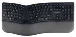 [ACCO-K75401WW] Toetsenbord Kensington Qwerty Pro Fit Ergo US