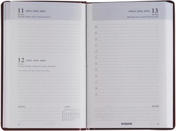 [AGE-814120] Zakagenda Brepols Trade Seta 77x120mm zestalig assorti 2025 1 dag/pagina